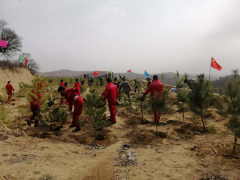 甘泉：春风吹醒美水乡干群“撸袖”添新绿