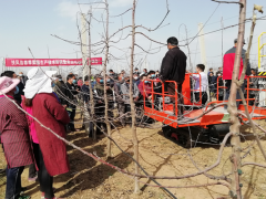 鹤壁市农机化展开中心细心展开果园春季消费机械化技术示范推行义务-宝鸡鹤壁市农业农村局