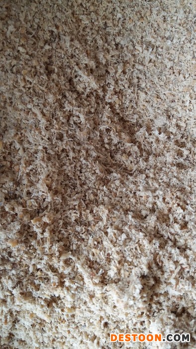 渤海野生 虾皮 虾粉 鱼粉 海龙鱼 凤尾鱼 饲料鱼饵