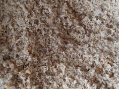 渤海野生 虾皮 虾粉 鱼粉 海龙鱼 凤尾鱼 饲料鱼饵