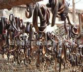 .〖强烈推荐〗价低货优  蚂蝗烘干机