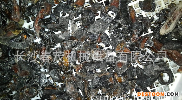 .直销 长沙 优质 节能环保 蚂蝗 烘干机 【新款推荐】