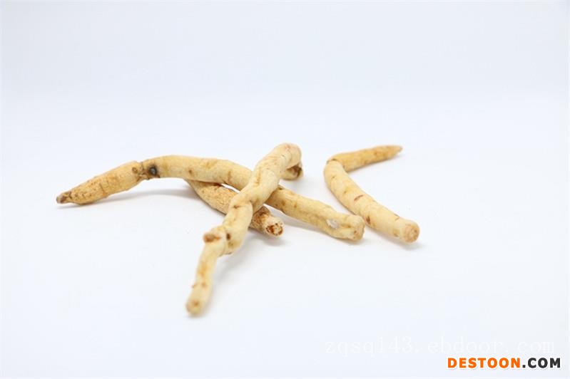 好的沙参|哪里有销售实惠的沙参