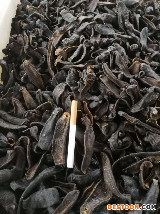 水蛭蚂蝗 清水吊干