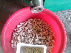 小型观赏鱼膨化机食品膨化 型号