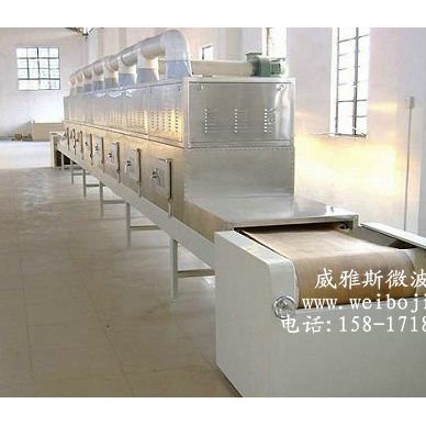 威雅斯VYS-30HM6供应广东干果烘烤设备
