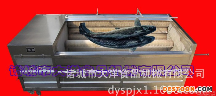 进口毛丝的脱鱼鳞机 经济实用的草鱼去鳞设备