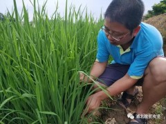 张俊：秉持一颗红心为民效劳——记浦北县北通镇佛新村驻村任务队员