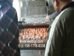 供应隧道式南美对虾烘烤设备