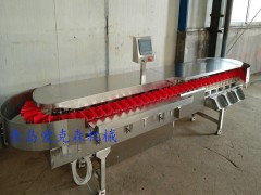 草鱼分选机 草鱼分级机 自动重量分拣机 在线称重分选设备 厂家直销