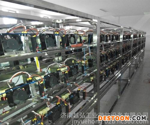 越弘对虾微波烘干设备