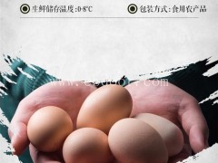 散养鸡蛋-鸡蛋-【浦江茶艺轩】