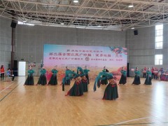 共舞安康 同庆歉收 荆州荆州市代表队在湖北省农民广场舞竞赛中喜获佳绩