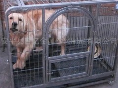 供应方管狗笼，大狗笼，藏獒笼