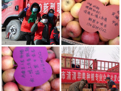 榆次区在全晋中市率先启用食用农产品合格证