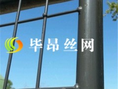 供应毕昂BYZ-01藏獒笼