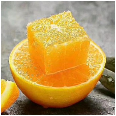 [供]麻阳纽荷尔脐橙