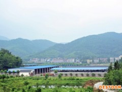 浙江省一级 种湖羊场