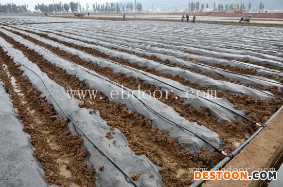 武汉欣农科技(多图)-武汉水肥一体化公司