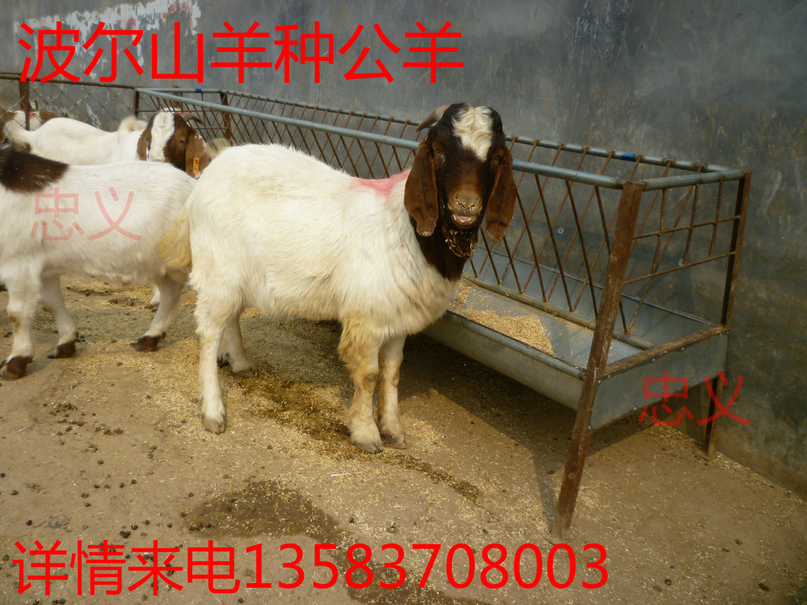 1cef6443545be9e713f0f5aa9143cc