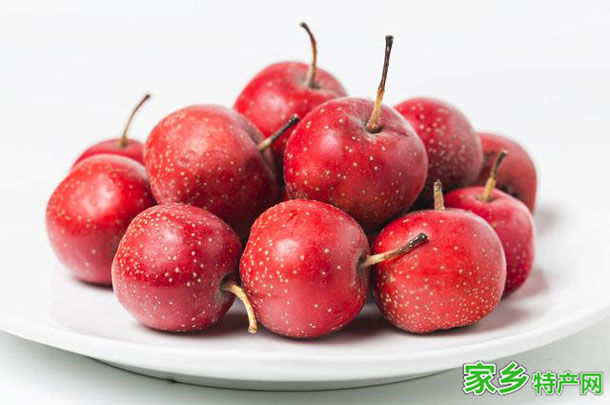 山楂 -承德兴隆特产