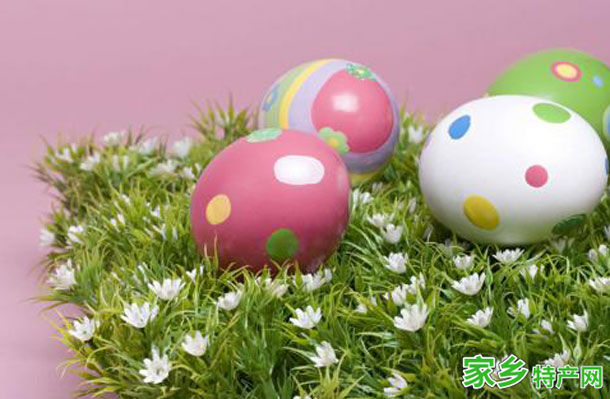 鸟岛彩蛋 -西宁湟中特产