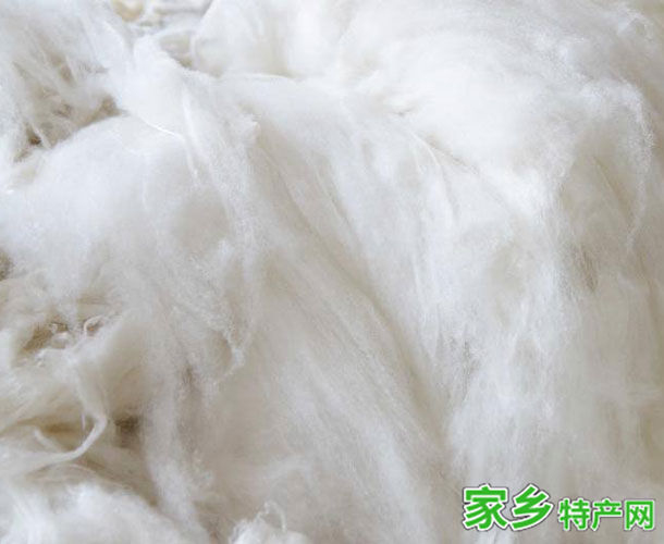 中卫山羊毛 -宁夏中卫市特产