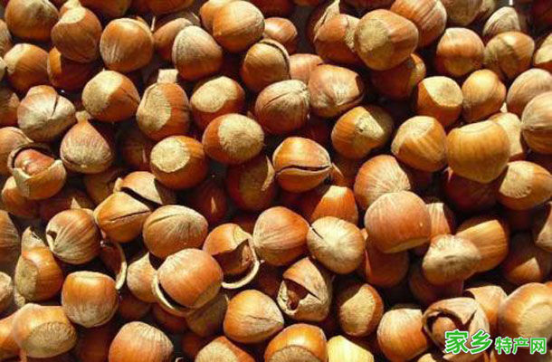 榛子 -内蒙赤峰市特产