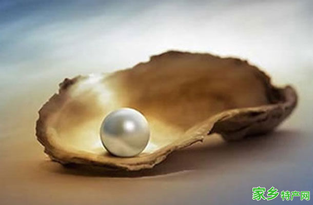 珍珠 -江西抚州市特产