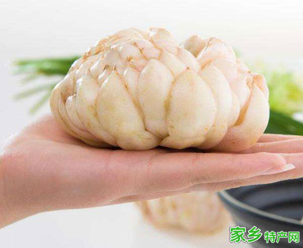 万载百合 -宜春万载特产