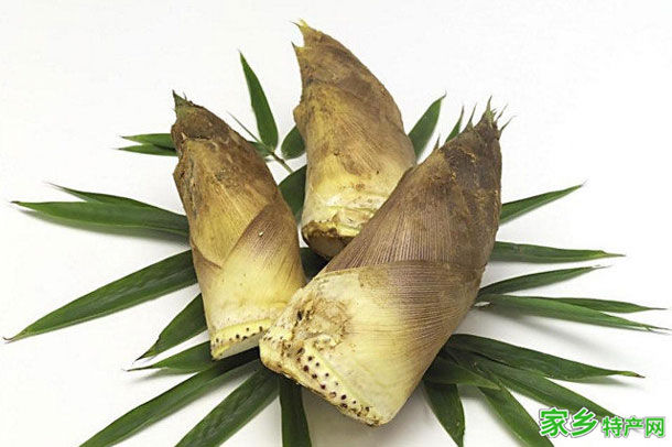 井冈山竹笋 -吉安井冈山特产