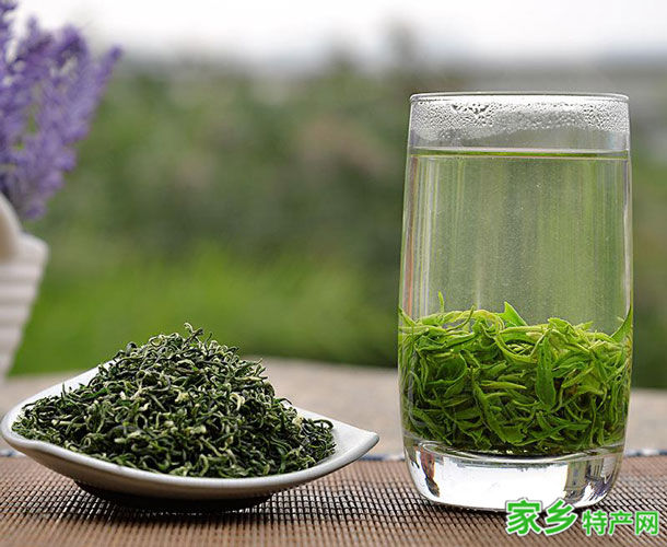 狗牯脑茶 -吉安遂川特产