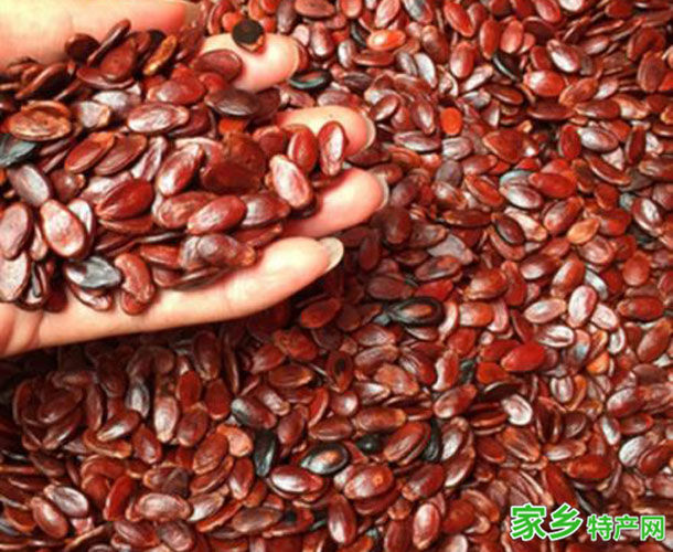 信丰红瓜子 -赣州信丰特产
