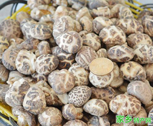 安远香菇 -赣州安远特产