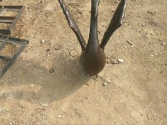 鸭子铜雕动物铜雕