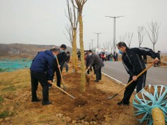 西安：阎良区展开春季义务植树 掀起全区绿化高潮