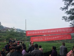 五峰：展开茶叶技术培训