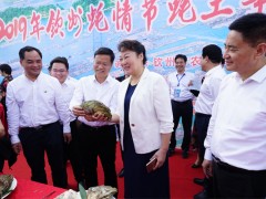 “蚝乡蚝情 欢乐钦州”——2019年钦州蚝情节浩大开幕