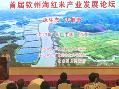 融入中国安康大产业  共商海红米开展大计