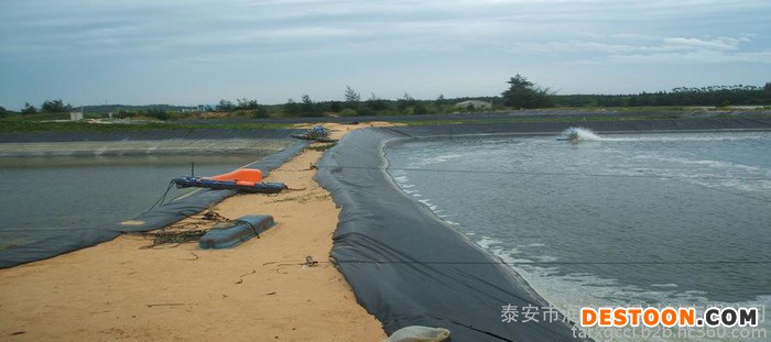 泰安润鑫  黄鳝养殖膜  厂家直供丽水市松阳黄鳝养殖膜  水渠防渗膜 土工格栅 定制生产 量大价优