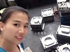 塑料龙虾盒模具