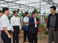 宋建朝来淳调研休闲农业和乡村旅游开展任务