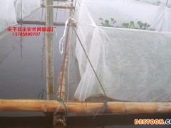 永宏  泥鳅防逃网  黄鳝泥鳅养殖专用防逃网  蚂蟥养殖专用网