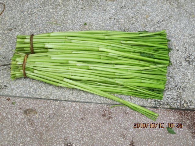 “大圣”牌水芹