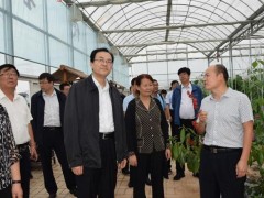 省人大常委会农工委副主任郭勇格来淳调研乡村产业开展任务