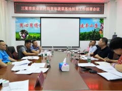 扎实推进我市终年蔬菜基地核对摸底义务