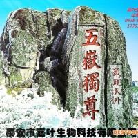 水蛭冻干粉318436山东厂家现货