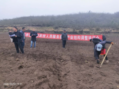 毕节晋中市牧科所效力威宁县板底乡肉牛产业科技人员展开牧草种植培训及实验示范