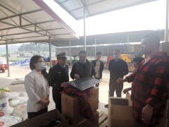 市农业农村局副局长刘罡霏带队 来我区中止农业行业安全消费明查暗访义务