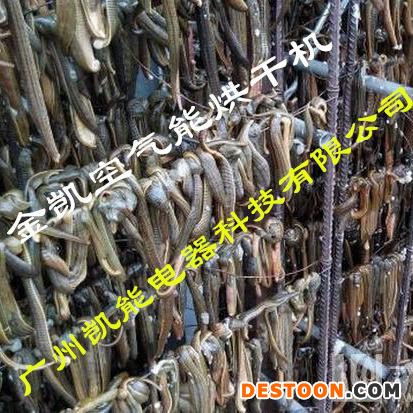 金凯水蛭烘干机 水蛭烘干设备厂家 空气能水蛭烘干机诚邀加盟